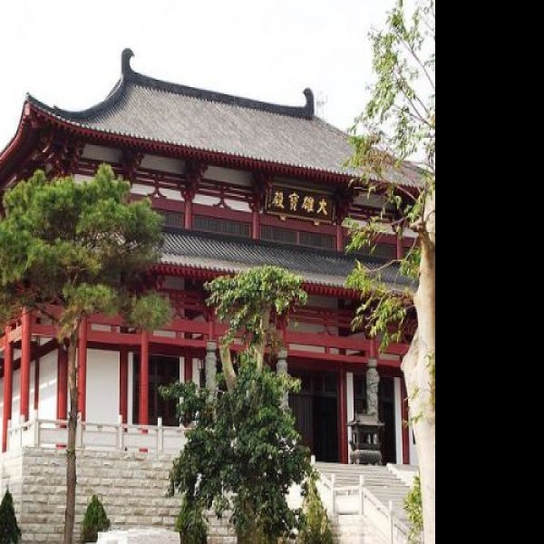 普度寺 - 图片4