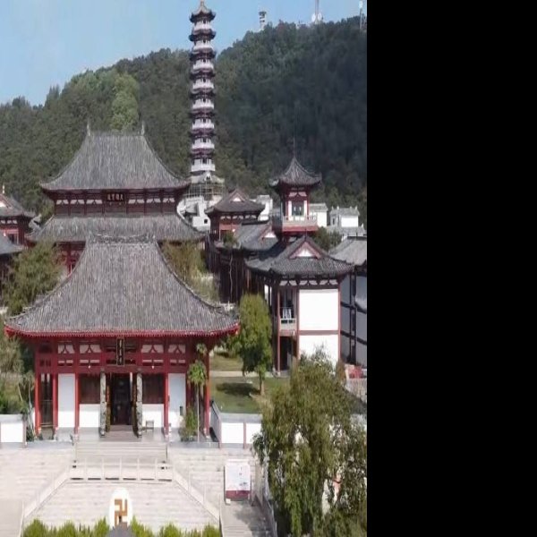 普度寺 - 图片6