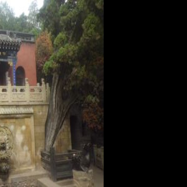 太山龙泉寺 - 图片10
