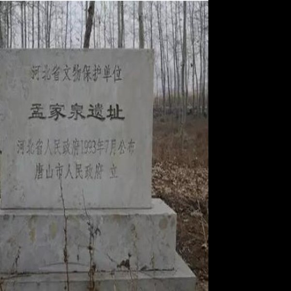 孟家泉遗址 - 图片8