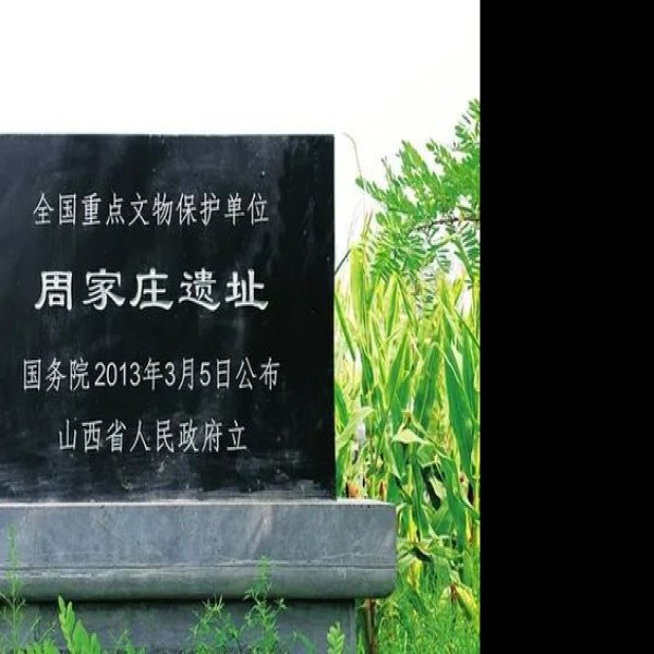 周家庄遗址 - 图片3