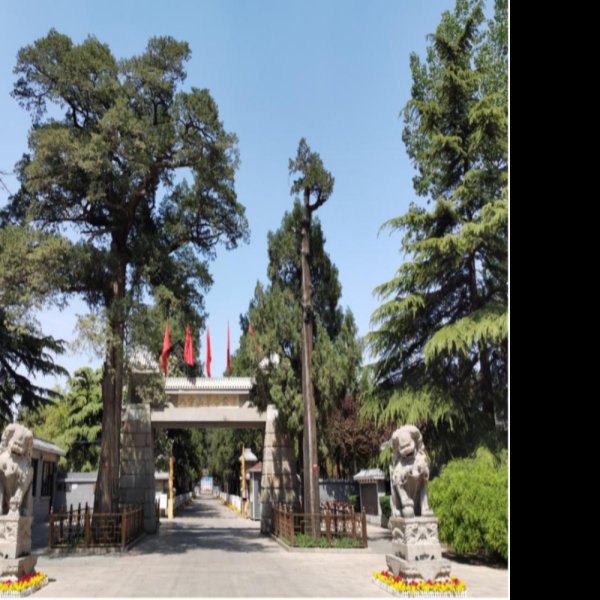 八宝山革命公墓 - 图片7