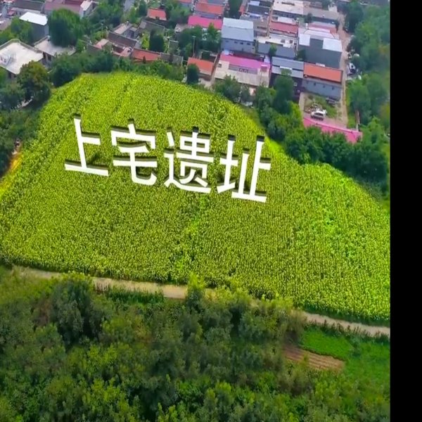 上宅遗址 - 图片1