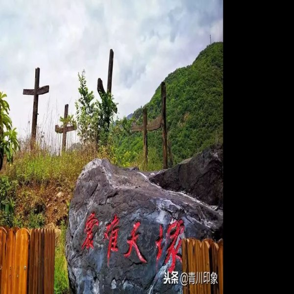 大河口遗址 - 图片10