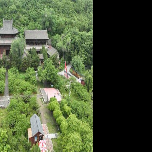 蒙山开化寺遗址 - 图片5