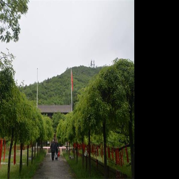 蒙山开化寺遗址 - 图片7