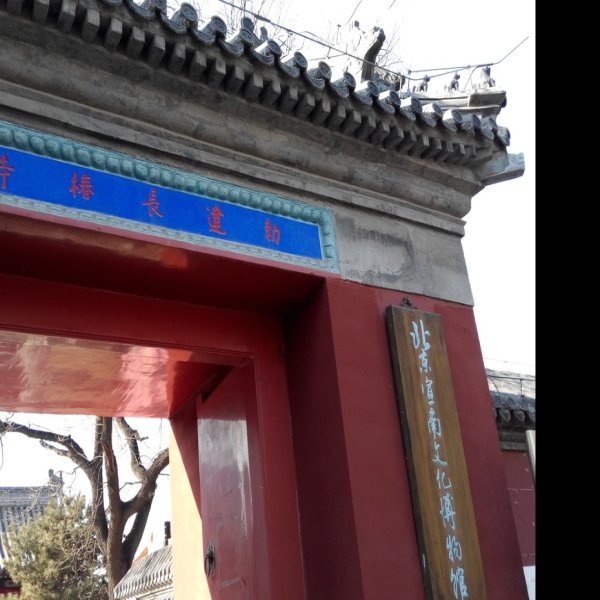 长椿寺 - 图片7