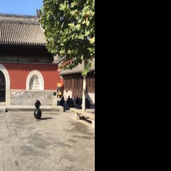 智珠寺 - 图片5