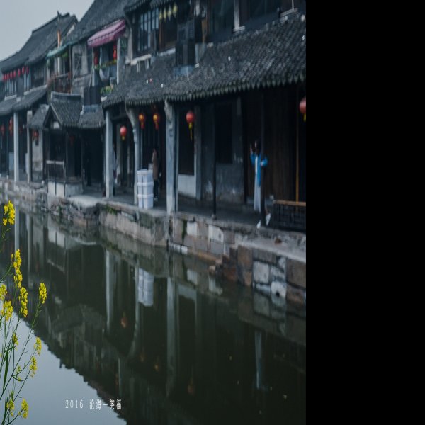 浙江嘉善西塘古镇 - 图片5