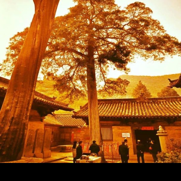 上党西岩寺塔 - 图片10