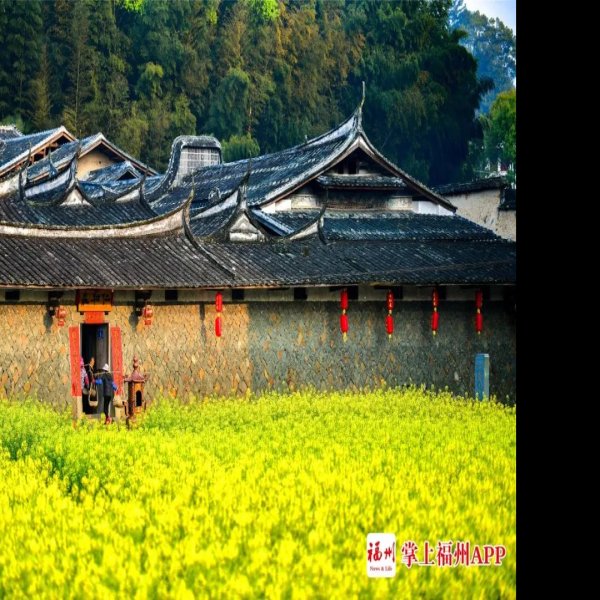 永泰庄寨建筑群 - 图片8