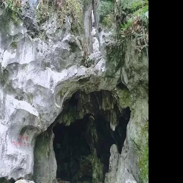 化子洞遗址 - 图片4