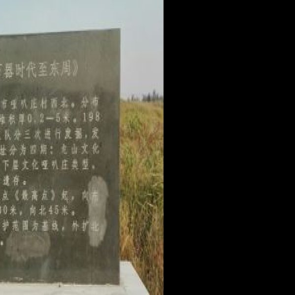 哑叭庄遗址 - 图片10
