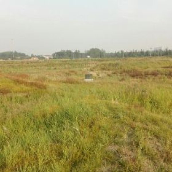 哑叭庄遗址 - 图片3