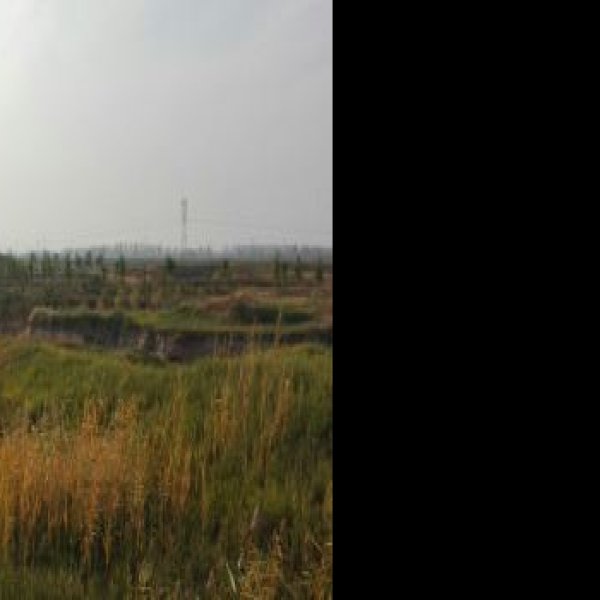哑叭庄遗址 - 图片5
