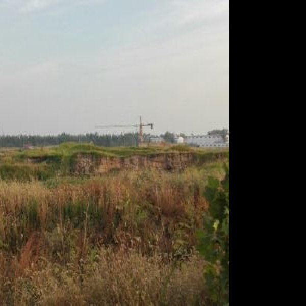 哑叭庄遗址 - 图片8