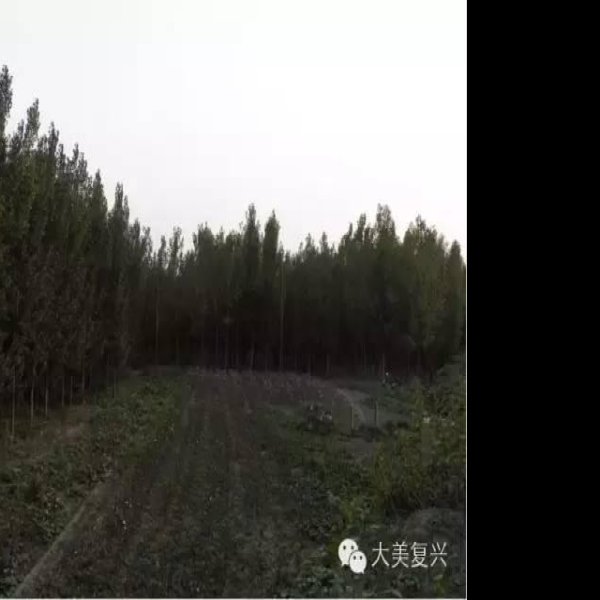 涧沟遗址 - 图片7