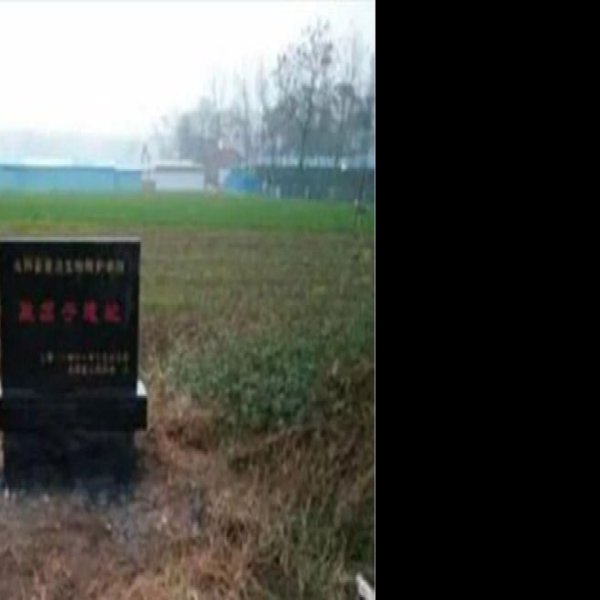 顶子城遗址 - 图片10