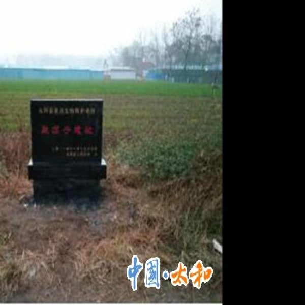 顶子城遗址 - 图片9