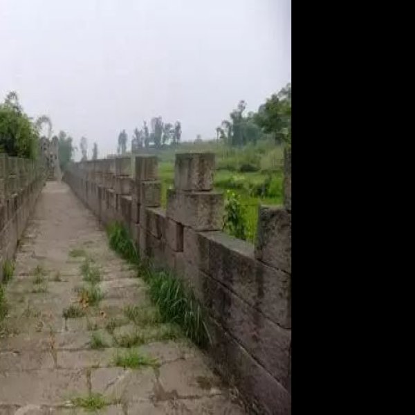 龟地遗址 - 图片5