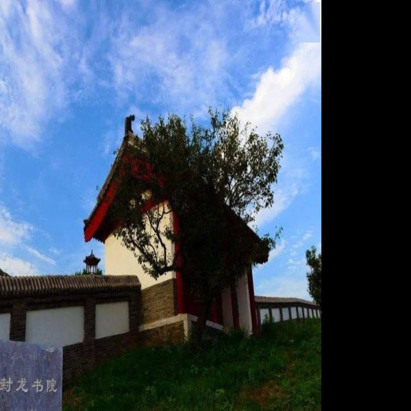 西张村遗址 - 图片5