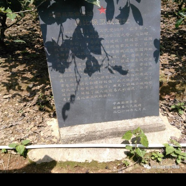坡头遗址 - 图片10