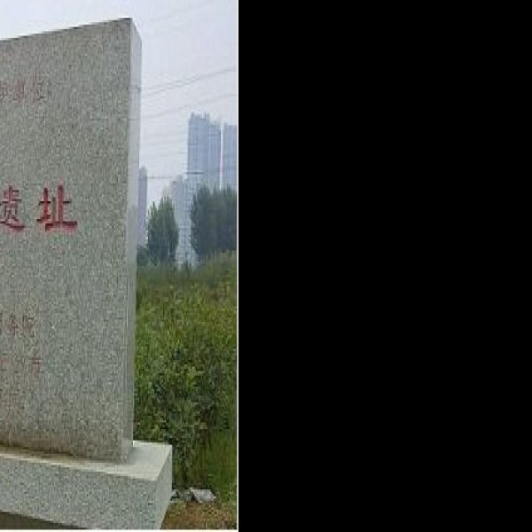 金胜庄遗址 - 图片10