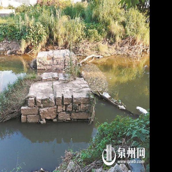 东庄遗址 - 图片5
