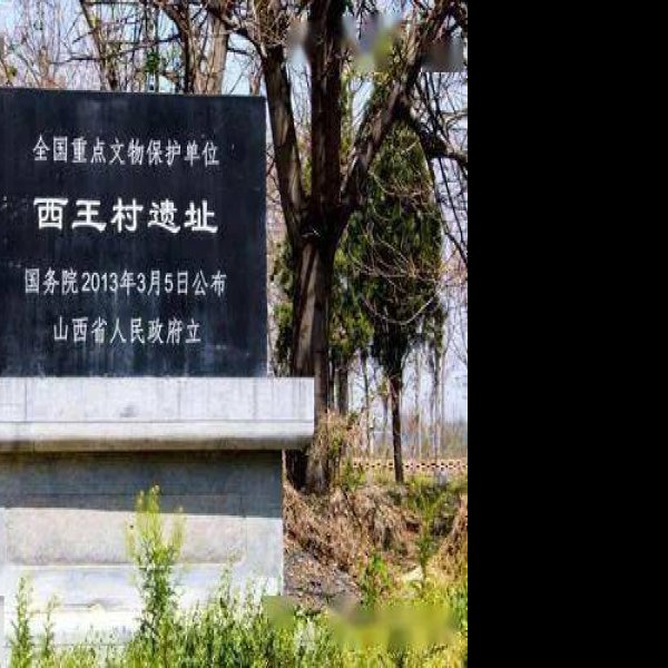 西王村遗址 - 图片2