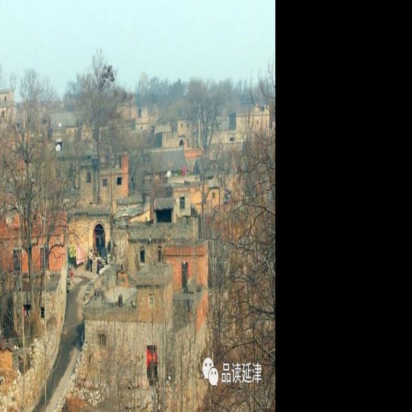 西王村遗址 - 图片6