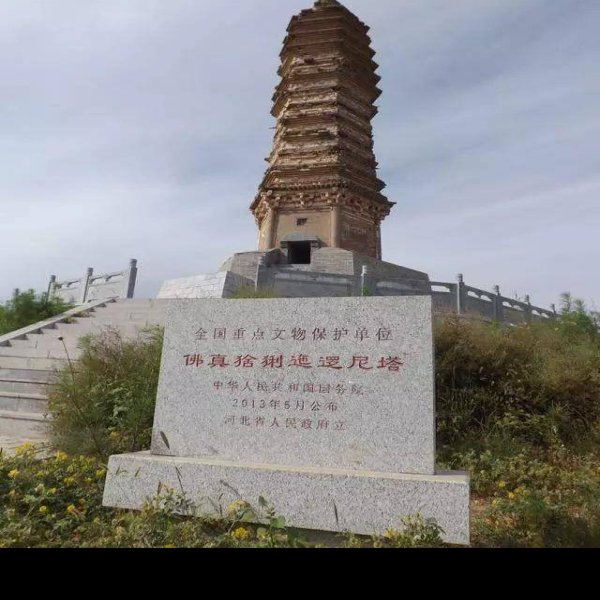 佛真猞猁迤逻尼塔 - 图片1