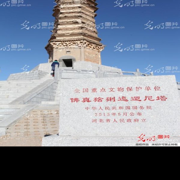 佛真猞猁迤逻尼塔 - 图片10