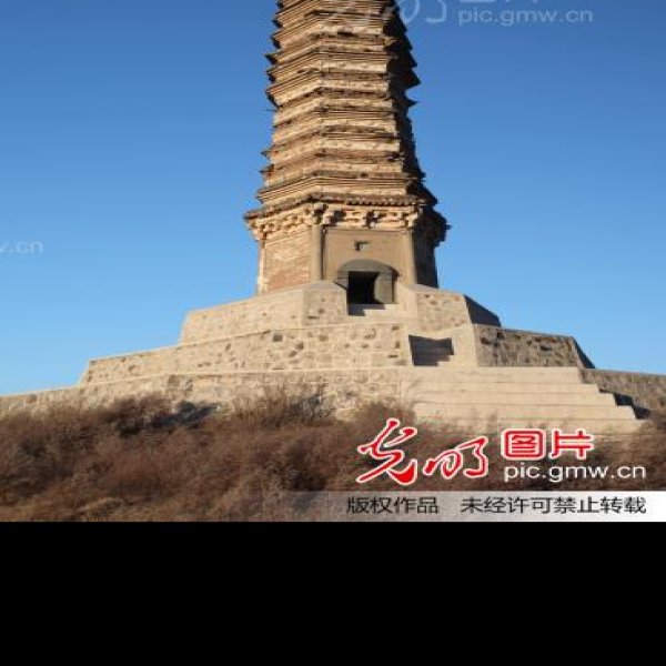 佛真猞猁迤逻尼塔 - 图片2