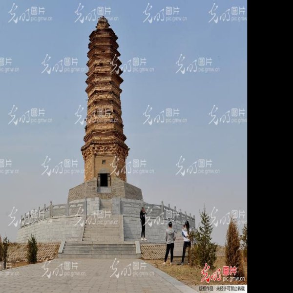 佛真猞猁迤逻尼塔 - 图片4