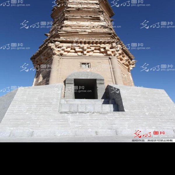 佛真猞猁迤逻尼塔 - 图片6