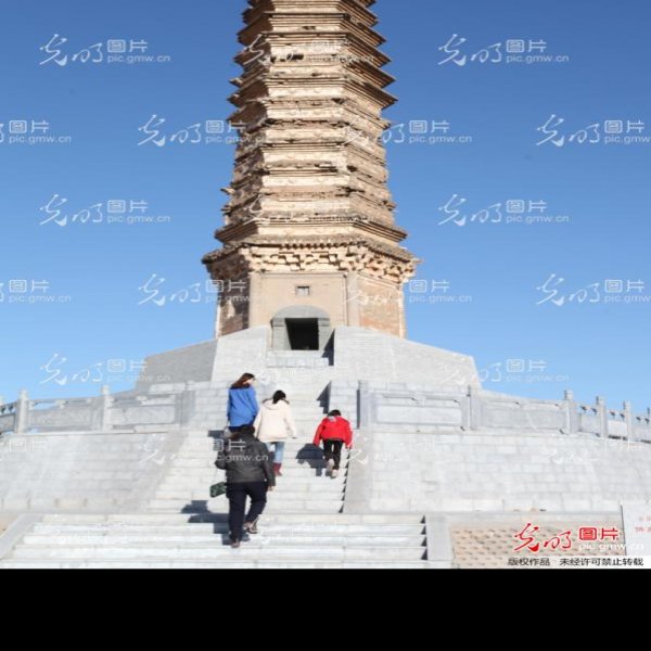 佛真猞猁迤逻尼塔 - 图片8