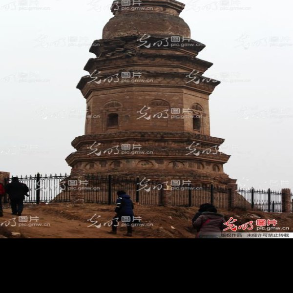 澍鹫寺塔 - 图片1