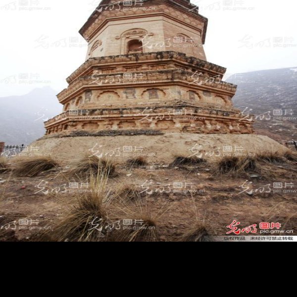 澍鹫寺塔 - 图片10