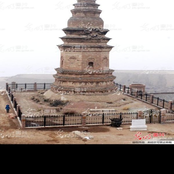 澍鹫寺塔 - 图片6