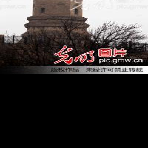 澍鹫寺塔 - 图片7