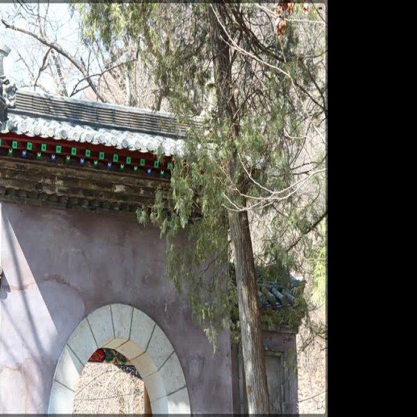 玉泉寺大殿 - 图片1
