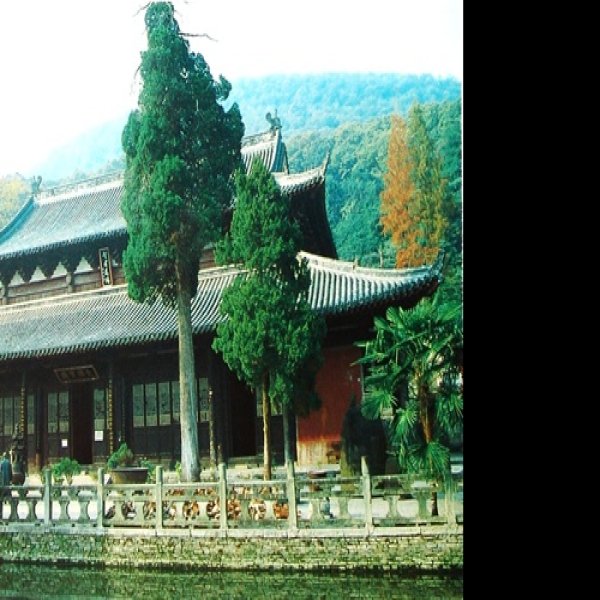 玉泉寺大殿 - 图片3