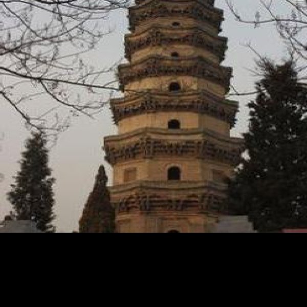 普彤塔 - 图片1