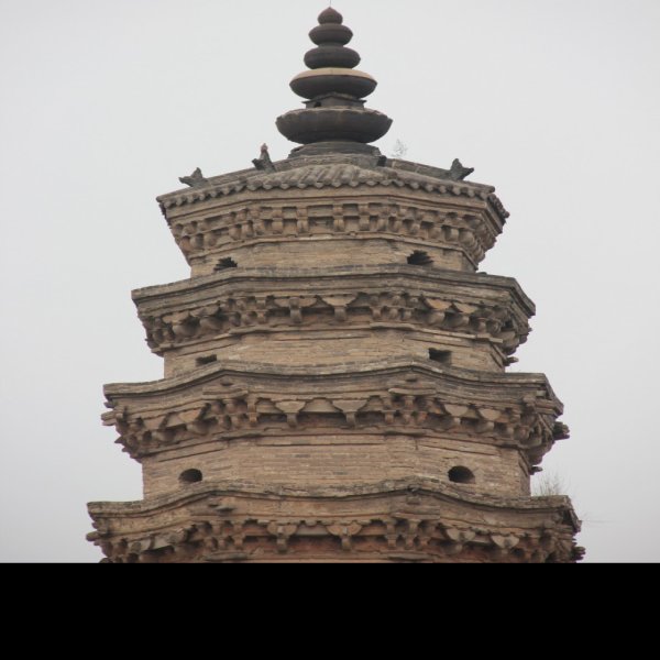 普彤塔 - 图片4