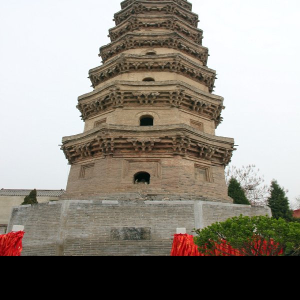 普彤塔 - 图片6