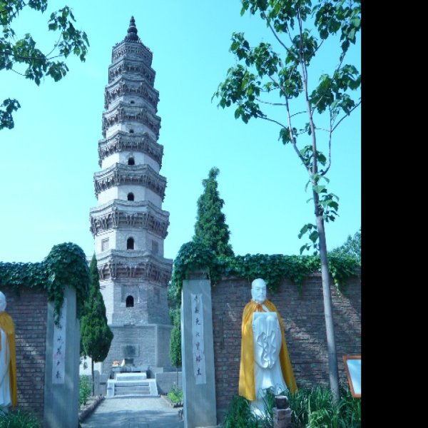 普彤塔 - 图片7