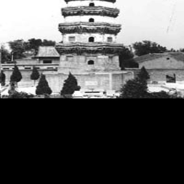 普彤塔 - 图片9