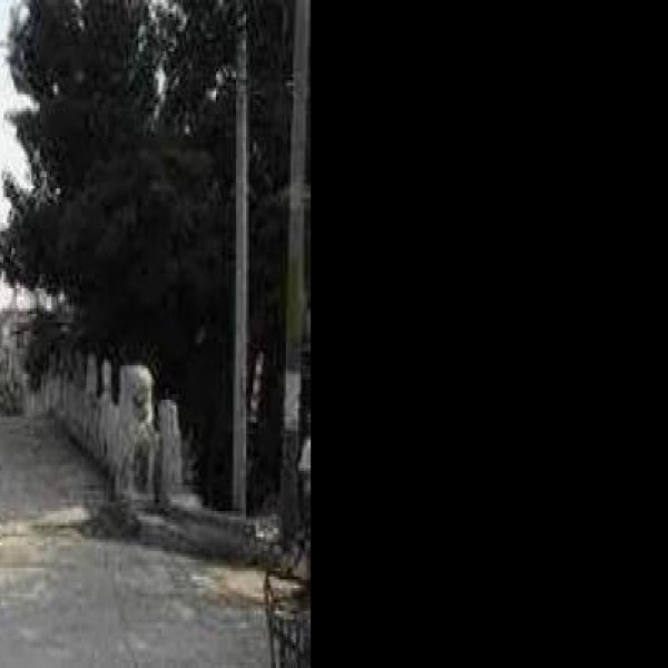 方顺桥 - 图片7