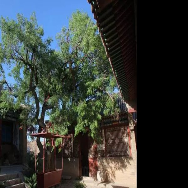沙子坡老君观 - 图片4