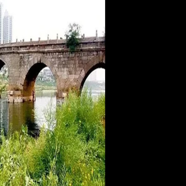 衡水安济桥 - 图片5